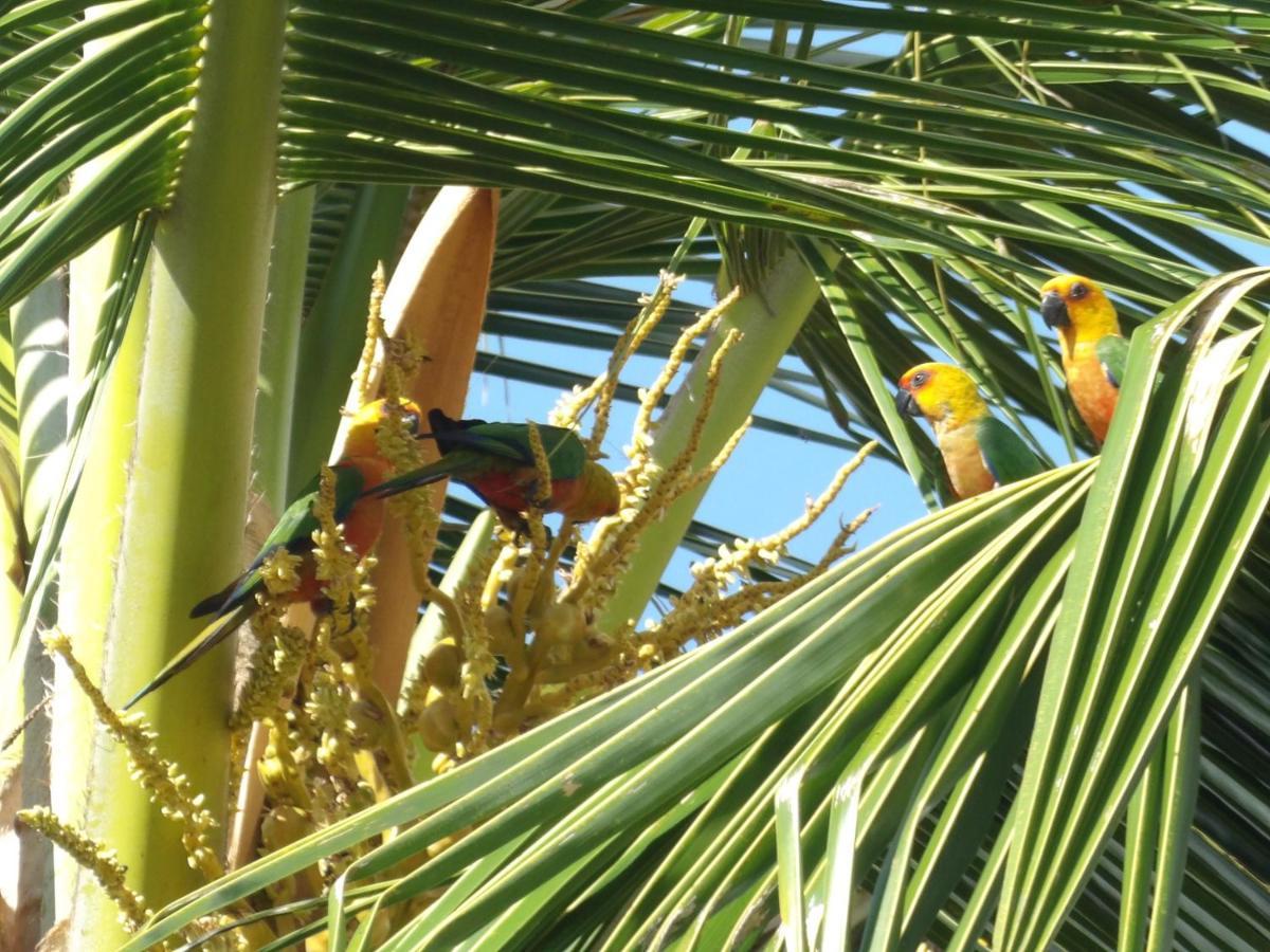 Pousada Do Ceu Maceió Exterior foto